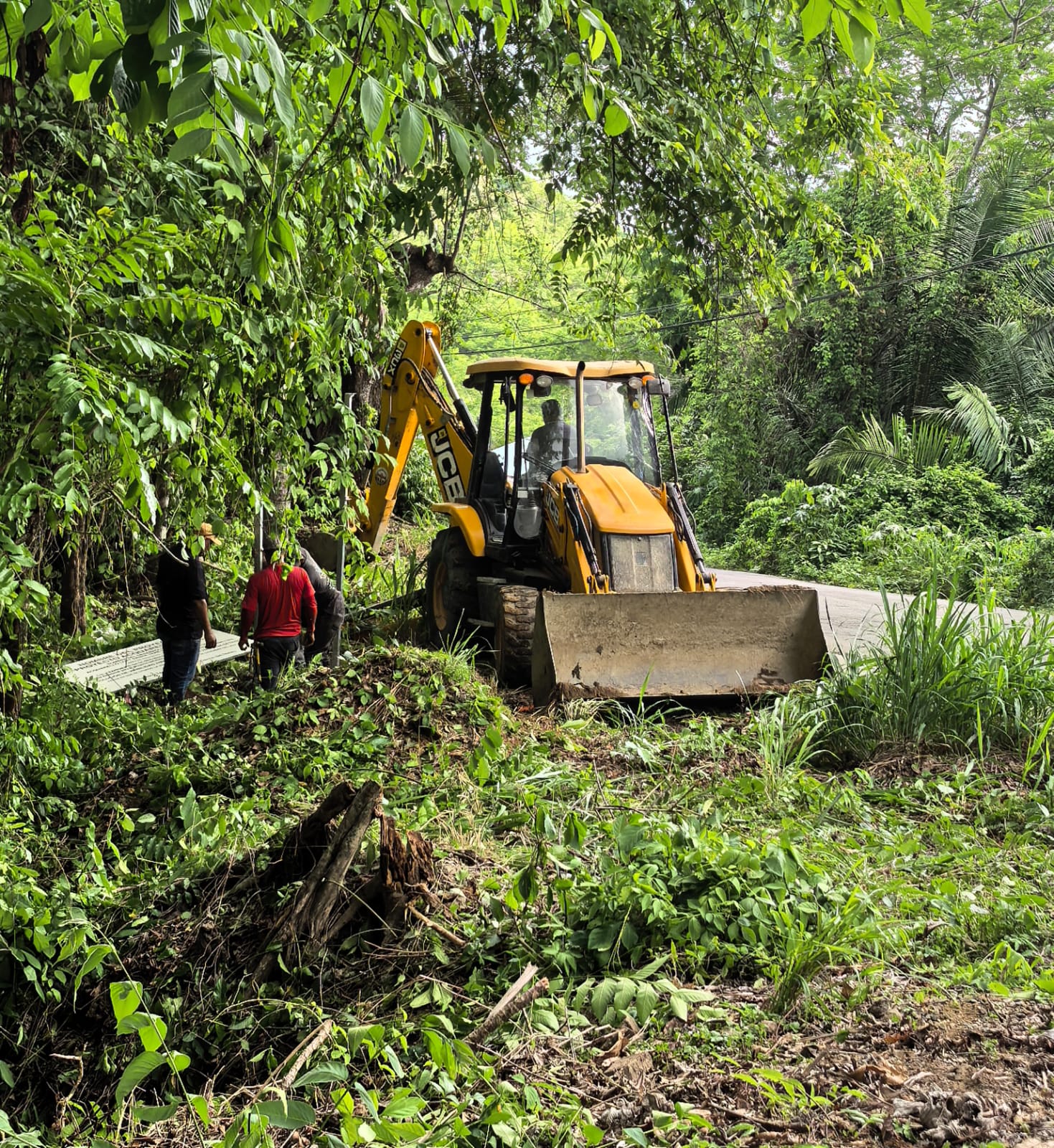 Retroexcavadora trabajando en medio de la selva, despejando con respeto el terreno.